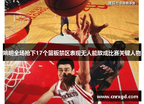 姚明全场抢下17个篮板禁区表现无人能敌成比赛关键人物