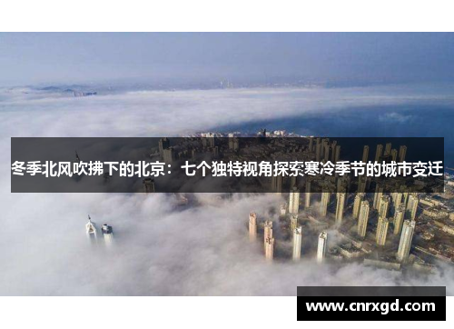 冬季北风吹拂下的北京：七个独特视角探索寒冷季节的城市变迁