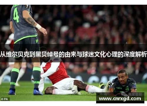 从维尔贝克到黑贝绰号的由来与球迷文化心理的深度解析 从维尔贝克到黑贝绰号的由来与球迷文化心理的深度解析