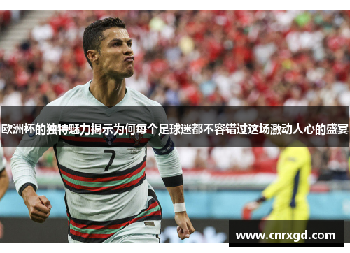 欧洲杯的独特魅力揭示为何每个足球迷都不容错过这场激动人心的盛宴