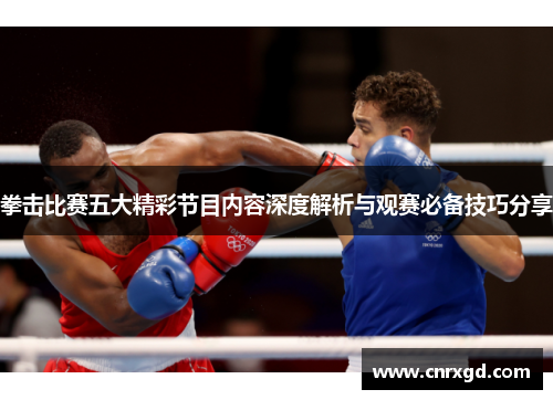 拳击比赛五大精彩节目内容深度解析与观赛必备技巧分享 拳击比赛五大精彩节目内容深度解析与观赛必备技巧分享